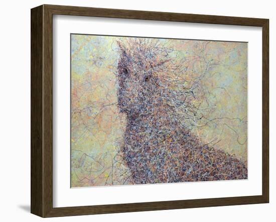 Wildhorse-James W. Johnson-Framed Giclee Print