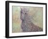 Wildhorse-James W. Johnson-Framed Giclee Print