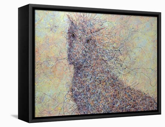 Wildhorse-James W. Johnson-Framed Stretched Canvas