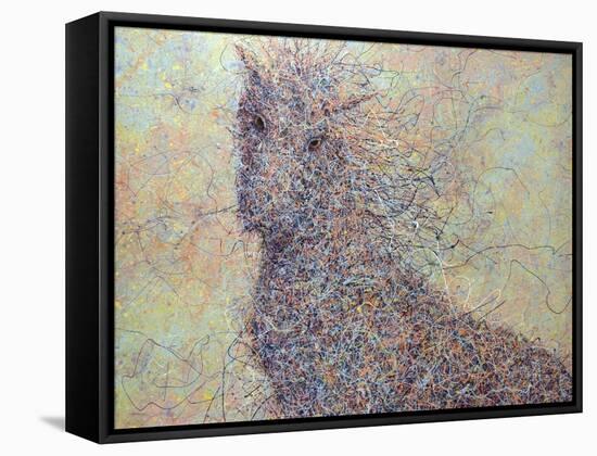 Wildhorse-James W. Johnson-Framed Stretched Canvas