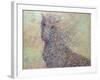 Wildhorse-James W. Johnson-Framed Giclee Print