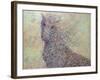 Wildhorse-James W. Johnson-Framed Giclee Print