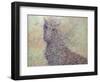 Wildhorse-James W. Johnson-Framed Giclee Print