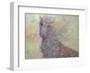 Wildhorse-James W. Johnson-Framed Giclee Print