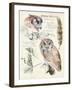 Wildlife Journals I-Jennifer Parker-Framed Art Print