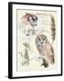 Wildlife Journals I-Jennifer Parker-Framed Art Print