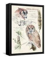 Wildlife Journals I-Jennifer Parker-Framed Stretched Canvas