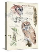 Wildlife Journals I-Jennifer Parker-Stretched Canvas