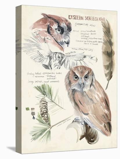 Wildlife Journals I-Jennifer Parker-Stretched Canvas