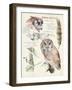 Wildlife Journals I-Jennifer Parker-Framed Art Print