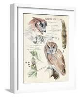 Wildlife Journals I-Jennifer Parker-Framed Art Print