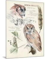 Wildlife Journals I-Jennifer Parker-Mounted Art Print