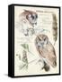 Wildlife Journals I-Jennifer Parker-Framed Stretched Canvas