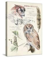 Wildlife Journals I-Jennifer Parker-Stretched Canvas