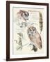 Wildlife Journals I-Jennifer Parker-Framed Art Print