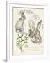 Wildlife Journals II-Jennifer Parker-Framed Art Print