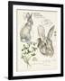Wildlife Journals II-Jennifer Parker-Framed Art Print