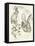 Wildlife Journals II-Jennifer Parker-Framed Stretched Canvas