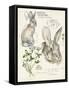 Wildlife Journals II-Jennifer Parker-Framed Stretched Canvas