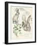 Wildlife Journals II-Jennifer Parker-Framed Art Print