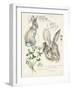 Wildlife Journals II-Jennifer Parker-Framed Art Print