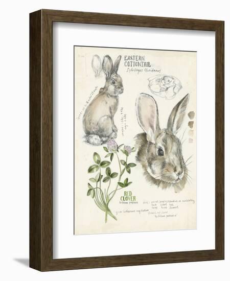 Wildlife Journals II-Jennifer Parker-Framed Art Print