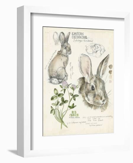 Wildlife Journals II-Jennifer Parker-Framed Art Print