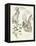 Wildlife Journals II-Jennifer Parker-Framed Stretched Canvas