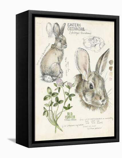 Wildlife Journals II-Jennifer Parker-Framed Stretched Canvas