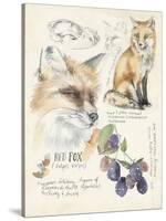 Wildlife Journals III-Jennifer Parker-Stretched Canvas