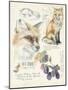 Wildlife Journals III-Jennifer Parker-Mounted Art Print
