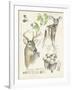 Wildlife Journals IV-Jennifer Parker-Framed Art Print