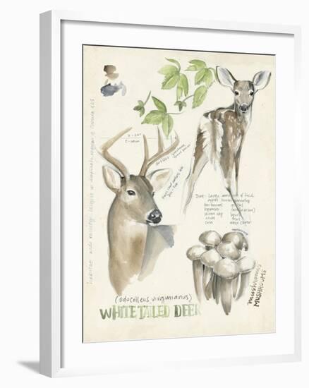 Wildlife Journals IV-Jennifer Parker-Framed Art Print