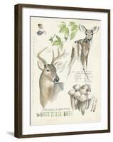 Wildlife Journals IV-Jennifer Parker-Framed Art Print