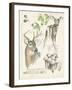 Wildlife Journals IV-Jennifer Parker-Framed Art Print