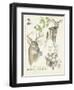 Wildlife Journals IV-Jennifer Parker-Framed Art Print