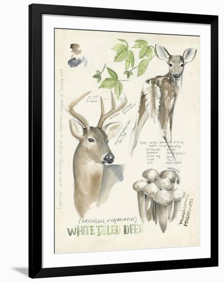 Wildlife Journals IV-Jennifer Parker-Framed Art Print