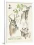 Wildlife Journals IV-Jennifer Parker-Framed Art Print