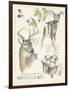 Wildlife Journals IV-Jennifer Parker-Framed Art Print