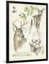 Wildlife Journals IV-Jennifer Parker-Framed Art Print