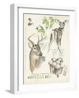 Wildlife Journals IV-Jennifer Parker-Framed Art Print