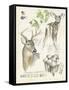 Wildlife Journals IV-Jennifer Parker-Framed Stretched Canvas