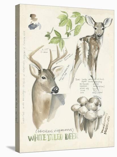 Wildlife Journals IV-Jennifer Parker-Stretched Canvas