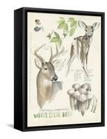 Wildlife Journals IV-Jennifer Parker-Framed Stretched Canvas