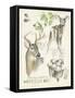 Wildlife Journals IV-Jennifer Parker-Framed Stretched Canvas