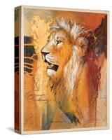 Wildlife Lion-Joadoor-Stretched Canvas