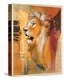 Wildlife Lion-Joadoor-Stretched Canvas