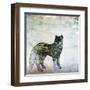 Wildlife on Site II-Nicholas Biscardi-Framed Art Print