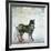 Wildlife on Site II-Nicholas Biscardi-Framed Art Print