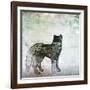 Wildlife on Site II-Nicholas Biscardi-Framed Art Print